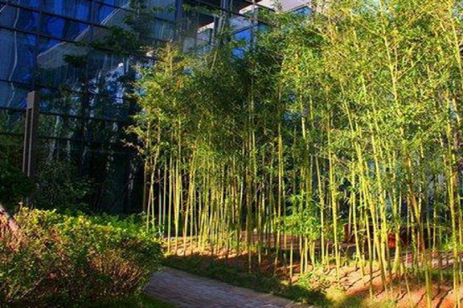 Zhongjian Yanqi Lake View Hotel Beijing Luaran gambar